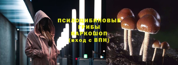 a pvp Белоозёрский