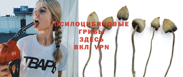винт Белокуриха