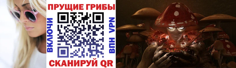 Псилоцибиновые грибы Cubensis  Надым 